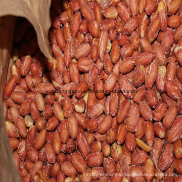 Chinese Fried Peanut Kernel, Roasted and Salted Peanut Kernel